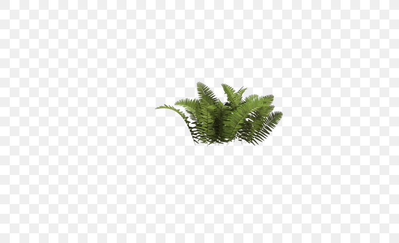 Shrub Tree Clip Art, PNG, 600x500px, Shrub, Document, Fern, Grass, Green Download Free