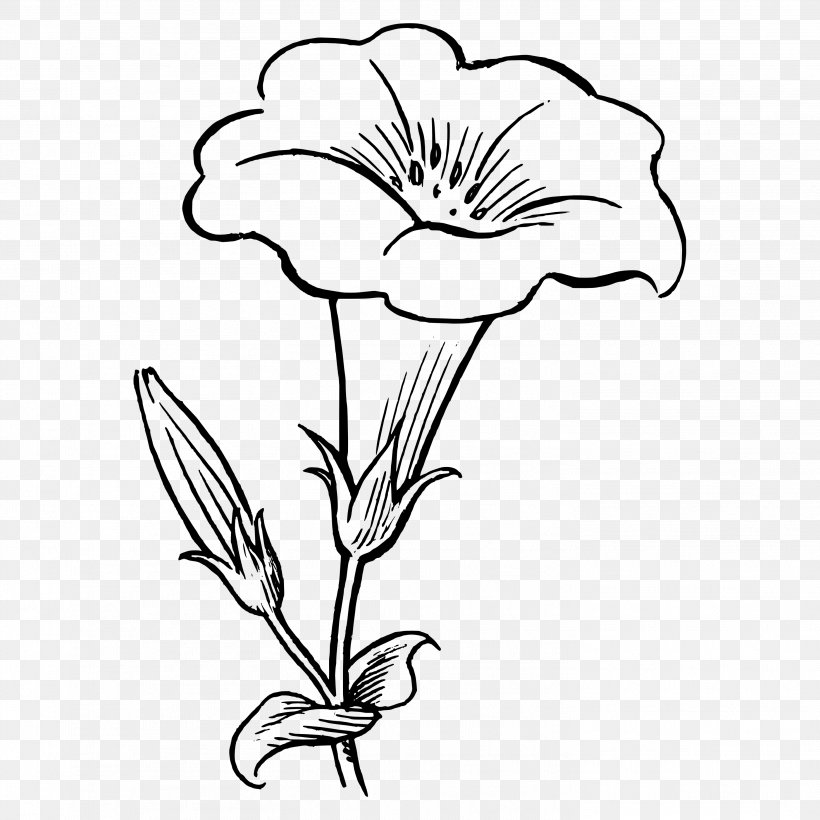 Black And White Drawing Floral Design Clip Art, PNG, 2936x2936px, Black And White, Art, Artwork, Black, Cut Flowers Download Free