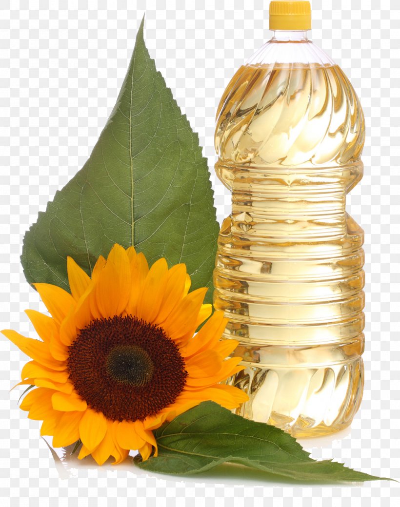 Common Sunflower Sunflower Oil Vegetable Oil Sunflower Seed, PNG, 1012x1284px, Sunflower Oil, Calorie, Common Sunflower, Cooking Oil, Cooking Oils Download Free