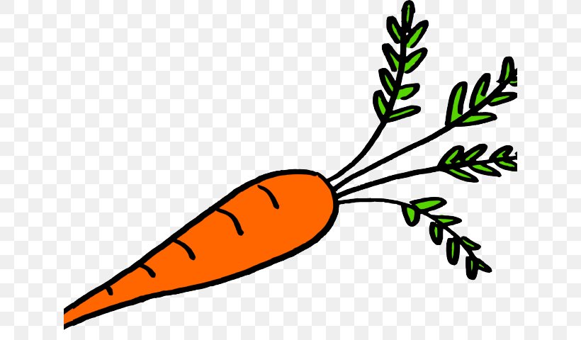 Clip Art Image Carrot Greens, PNG, 640x480px, Carrot, Botany, Drawing, Greens, Internet Meme Download Free