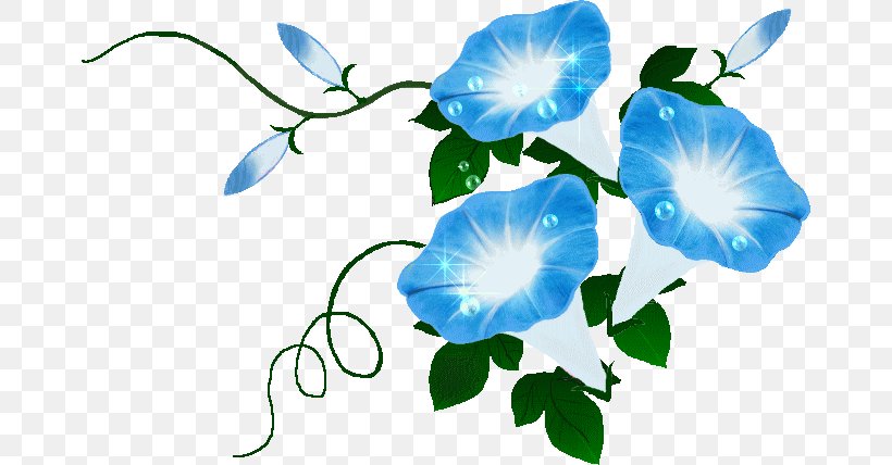 Japanese Morning Glory Rose Family Plant Stem Flower, PNG, 670x428px, Japanese Morning Glory, Blue, Computer Font, Cut Flowers, Flora Download Free