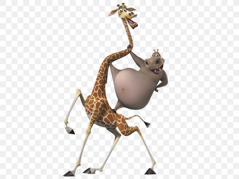 Melman Madagascar Animation Character Cartoon, PNG, 1280x960px, Melman, Animal Figure, Animation, Art, Cartoon Download Free