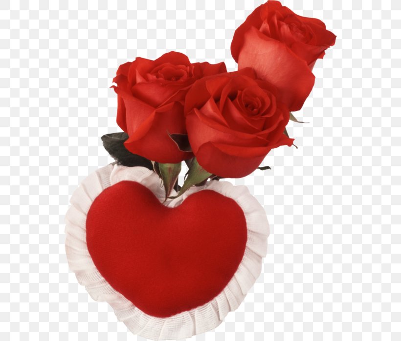 Rose Valentines Day Wish Wallpaper, PNG, 559x699px, Rose, Cut Flowers, Floristry, Flower, Flower Bouquet Download Free