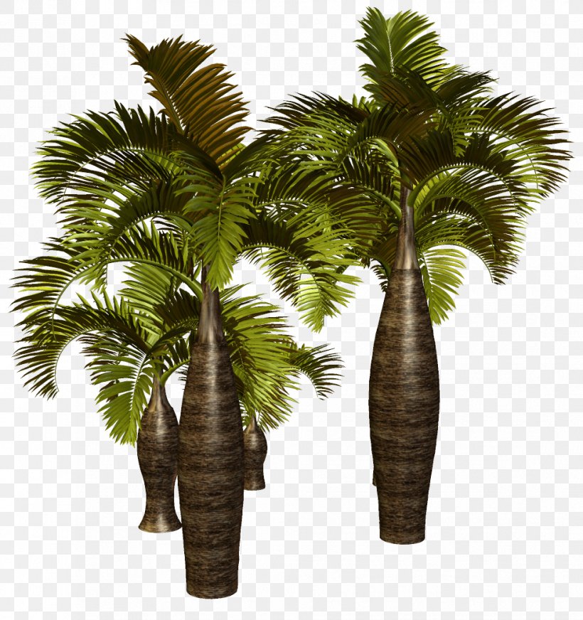 Asian Palmyra Palm Arecaceae Tree Clip Art, PNG, 981x1044px, Asian Palmyra Palm, Arecaceae, Arecales, Attalea Speciosa, Borassus Download Free