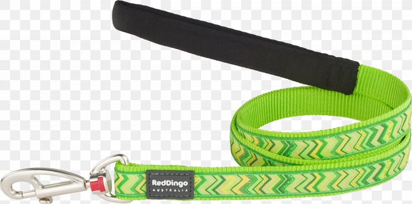 Leash, PNG, 3000x1490px, Leash, Fashion Accessory, Green Download Free