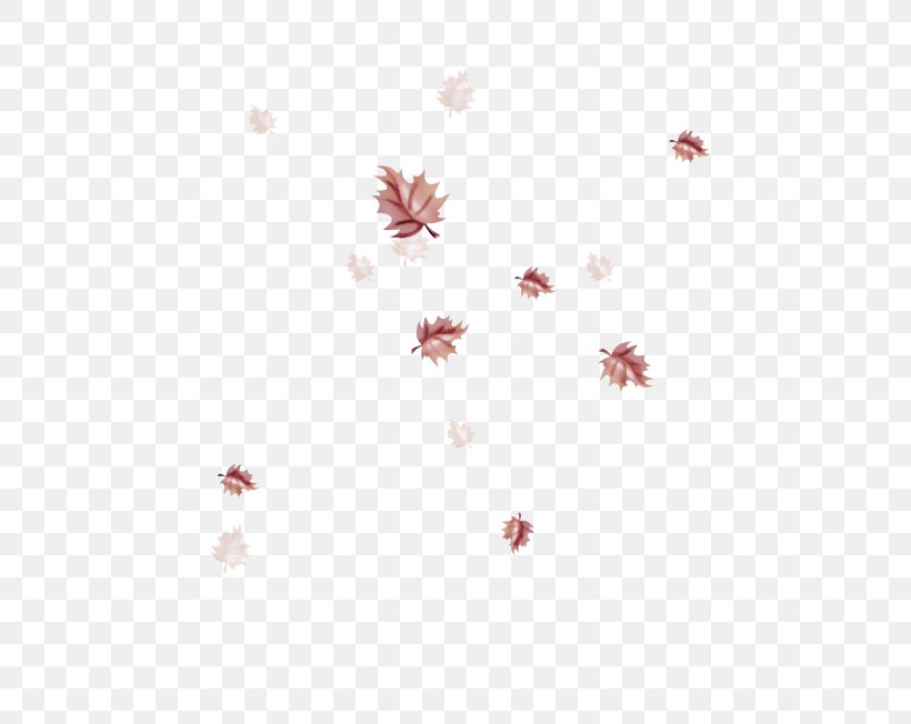 White Pink Red Line Leaf, PNG, 699x652px, White, Leaf, Petal, Pink, Plant Download Free