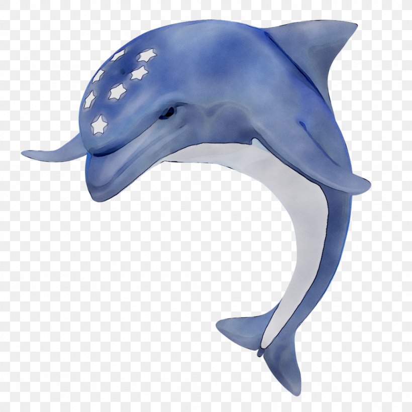 Common Bottlenose Dolphin Tucuxi Wholphin Rough-toothed Dolphin Short-beaked Common Dolphin, PNG, 1024x1024px, Common Bottlenose Dolphin, Animal, Animal Figure, Biology, Blue Download Free