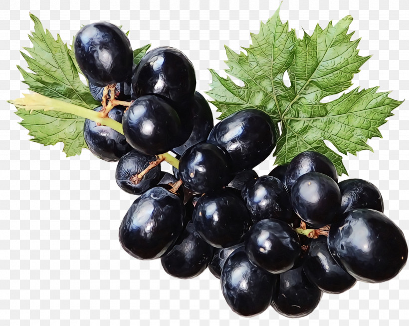 Grape Zante Currant Blueberry Vegetarian Cuisine Bilberry, PNG, 2560x2040px, Watercolor, Bilberry, Blueberry, Currant, Fruit Download Free