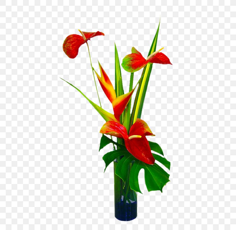 Hawaii Flower Bouquet Floral Design Clip Art Png 607x800px