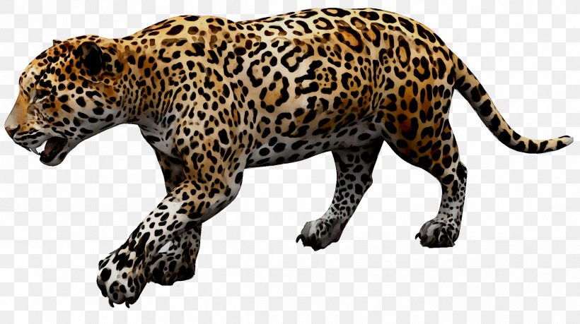 Jaguar Cars Leopard Jaguar D-Type, PNG, 2415x1354px, Jaguar, African Leopard, Animal Figure, Big Cats, Car Download Free