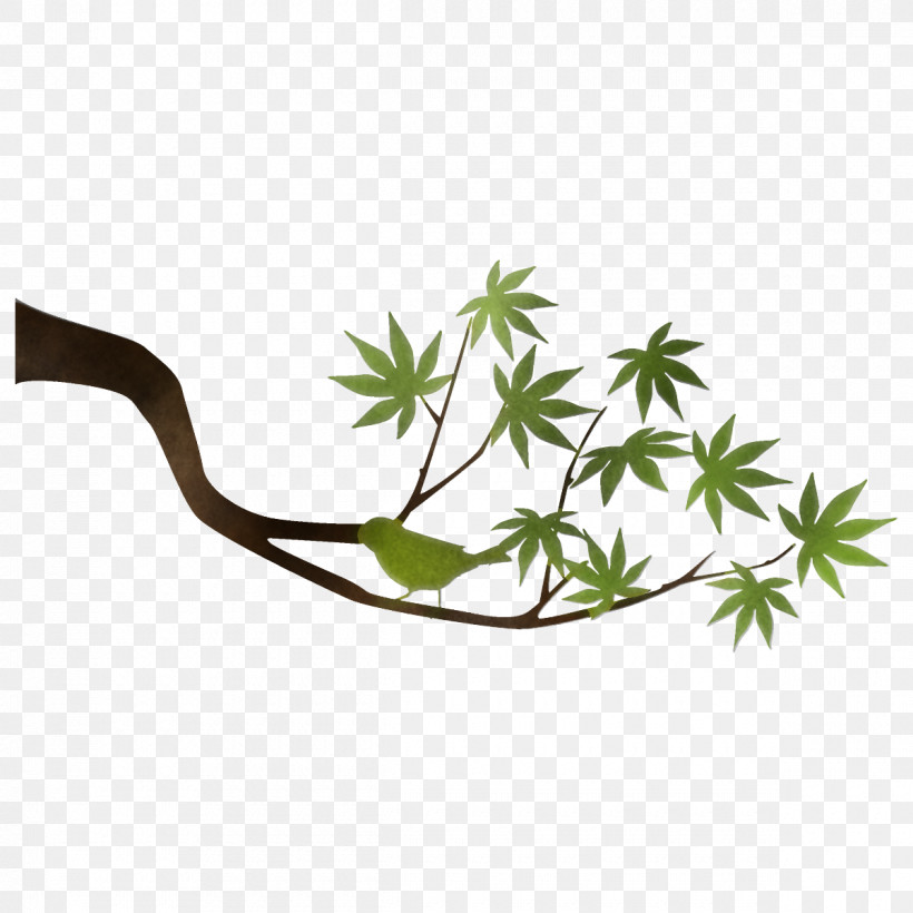 Maple Branch Maple Leaves Maple Tree, PNG, 1200x1200px, Maple Branch, Branch, Flower, Herb, Herbal Download Free