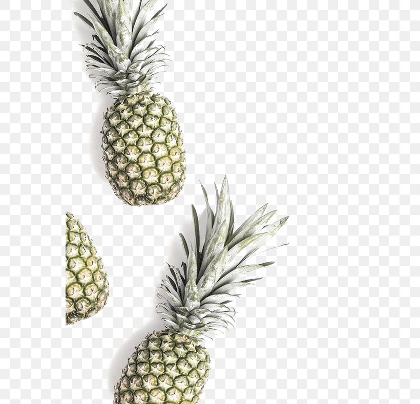 Pineapple Juice Fruit Coconut Water Food, PNG, 564x789px, Pineapple, Ananas, Bean, Bromelain, Bromeliaceae Download Free