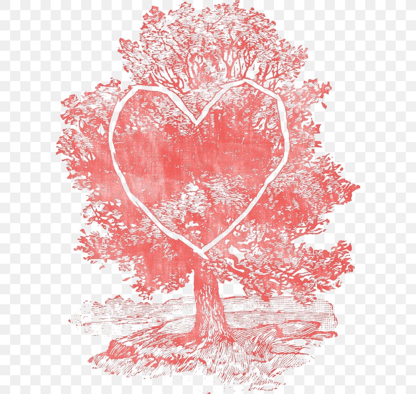 Drawing Tree Quercus Ellipsoidalis Southern Live Oak Clip Art, PNG, 600x777px, Watercolor, Cartoon, Flower, Frame, Heart Download Free