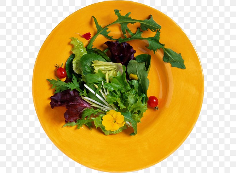 Leaf Vegetable Recipe Dish Salad, PNG, 600x600px, Vegetable, Cooking, Diet, Dish, Dishware Download Free