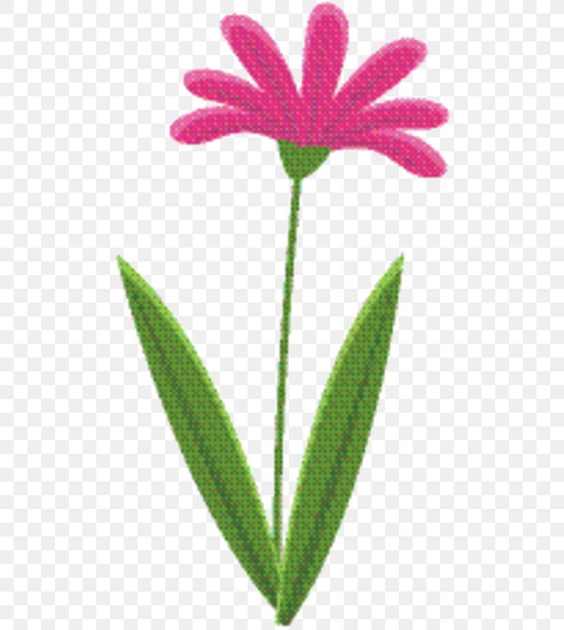 Pink Flower Cartoon, PNG, 503x916px, Petal, Flower, Herbaceous Plant, Leaf, Pedicel Download Free