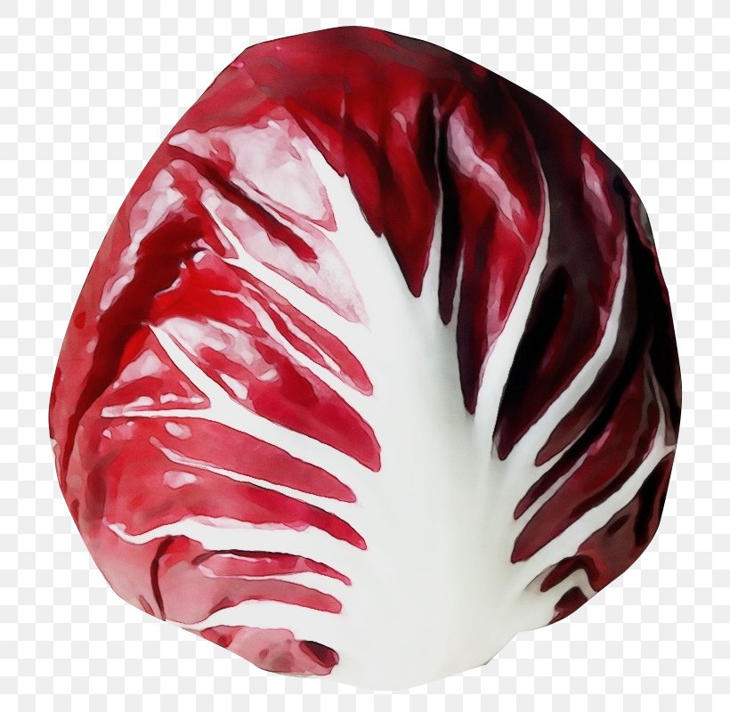 Red Leaf Vegetable Radicchio Vegetable Cabbage, PNG, 778x800px, Watercolor, Cabbage, Leaf Vegetable, Paint, Plant Download Free