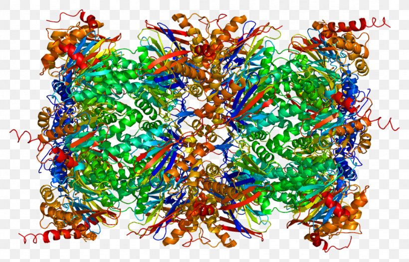 Threonine Protease Proteasome Serine Protease, PNG, 1088x698px, Protease, Acid, Active Site, Amino Acid, Art Download Free