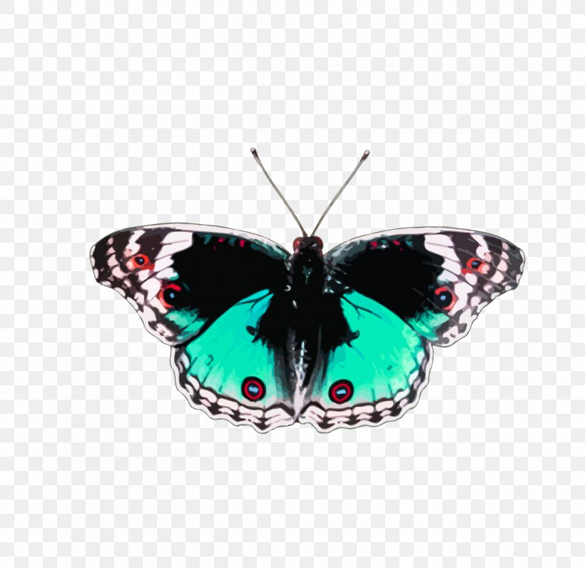 Butterfly Red, PNG, 2400x2332px, Butterfly, Black, Brush Footed Butterfly, Butterflies And Moths, Color Download Free