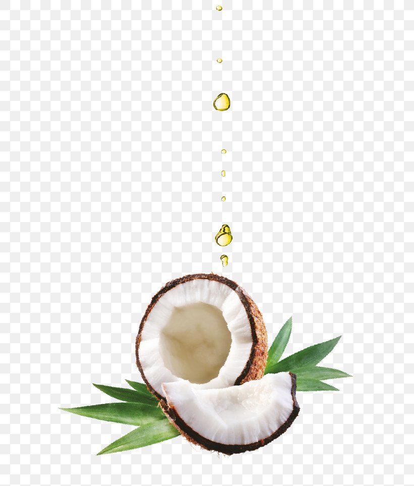 Coconut Oil Olive Oil Lotion, PNG, 622x963px, Coconut Oil, Coconut, Ear, Ear Mite, Food Download Free
