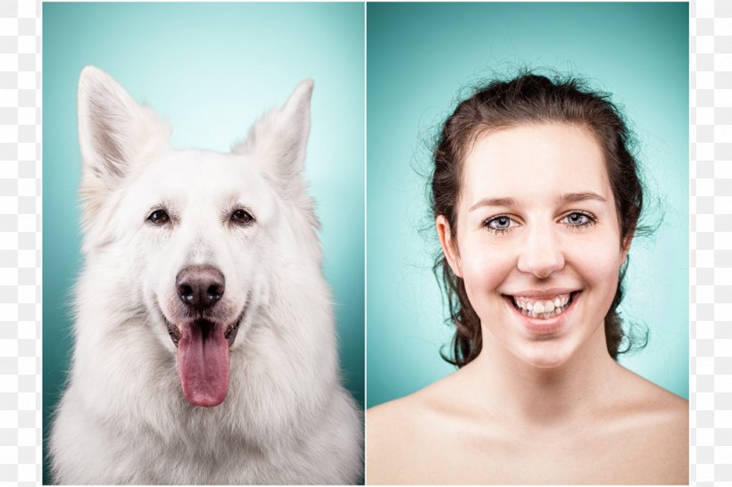 Dog Breed Cat People And Dog People Silberbild Studio, PNG, 1024x682px, Dog Breed, Berger Blanc Suisse, Breed, Cat, Cat People And Dog People Download Free