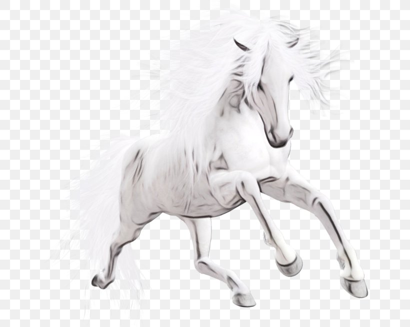 Horse Animal Figure Mane Stallion Drawing, PNG, 683x655px, Watercolor, Animal Figure, Drawing, Horse, Line Art Download Free