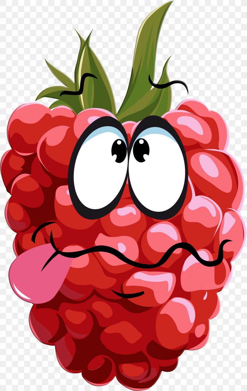 Raspberry Food Clip Art, PNG, 1889x2997px, Raspberry, Berry, Blue Raspberry Flavor, Cartoon, Drawing Download Free