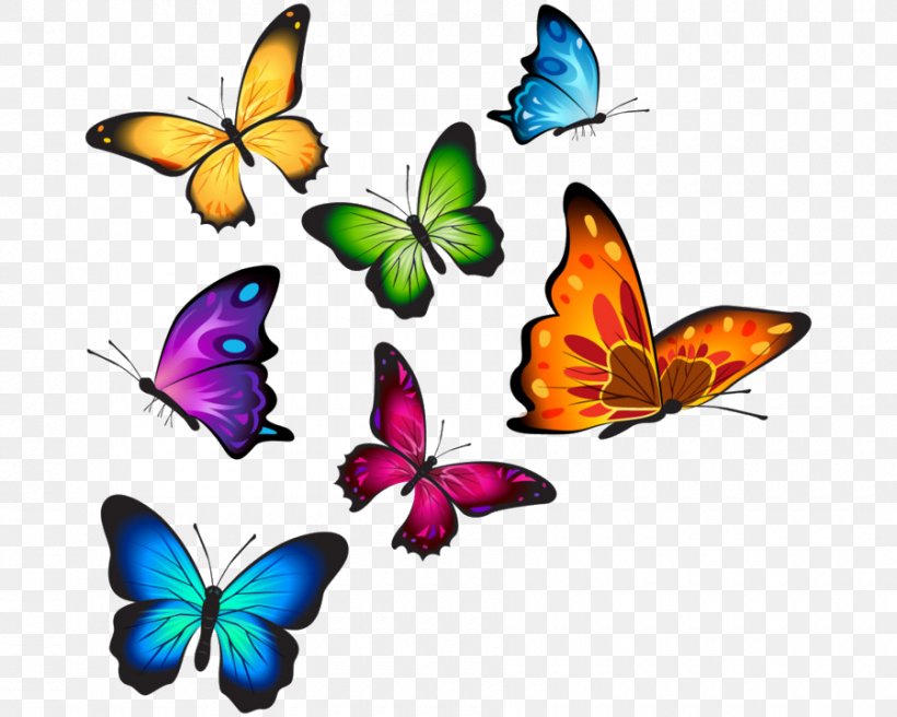 Butterfly Drawing, PNG, 900x720px, Butterfly, Animal Figure, Brushfooted Butterfly, Color, Decal Download Free