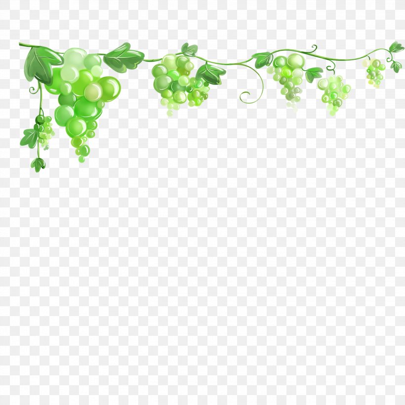 Common Grape Vine Grape Leaves Wallpaper, PNG, 2835x2835px, 4k Resolution, Common Grape Vine, Floral Design, Fruit, Grape Download Free