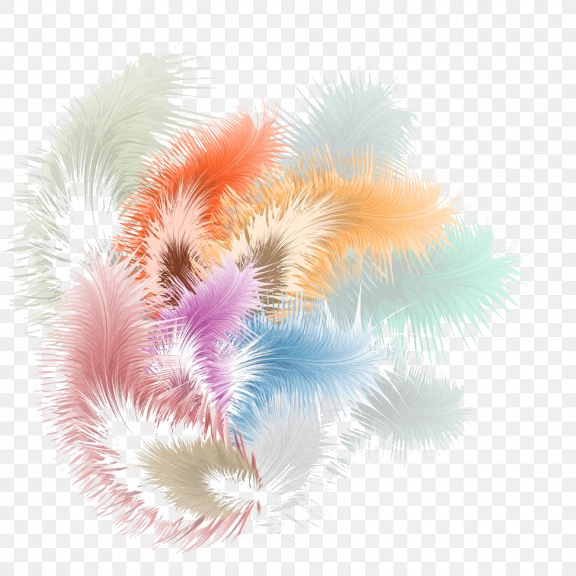 Feather Color Pink Illustration, PNG, 1000x1000px, Feather, Color, Pastel, Peafowl, Petal Download Free