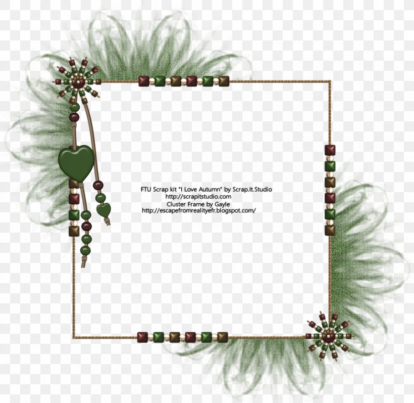 Floral Design Picture Frames Pine Font, PNG, 925x900px, Floral Design, Conifer, Family, Flora, Flower Download Free