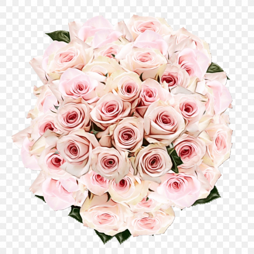 Garden Roses, PNG, 1000x1000px, Watercolor, Bouquet, Cut Flowers, Floribunda, Flower Download Free