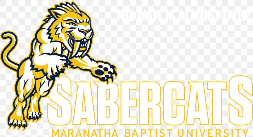 Maranatha Baptist University Maranatha Baptist Sabercats Football Tiger, PNG, 1000x543px, Maranatha Baptist University, Area, Big Cats, Carnivoran, Cat Like Mammal Download Free