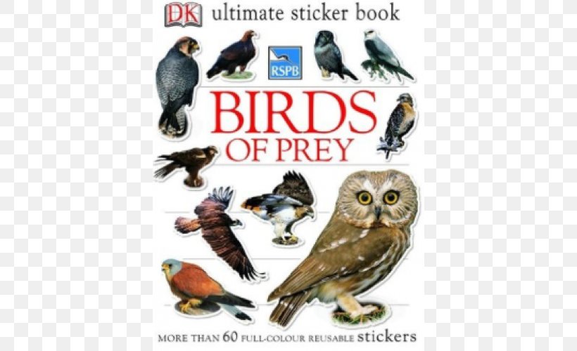 Owl Bird Of Prey Beak Book, PNG, 500x500px, Owl, Advertising, Beak, Bird, Bird Of Prey Download Free
