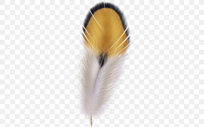 The Floating Feather Quill Pen, PNG, 512x512px, Floating Feather, Drawing, Feather, Inkwell, Nib Download Free