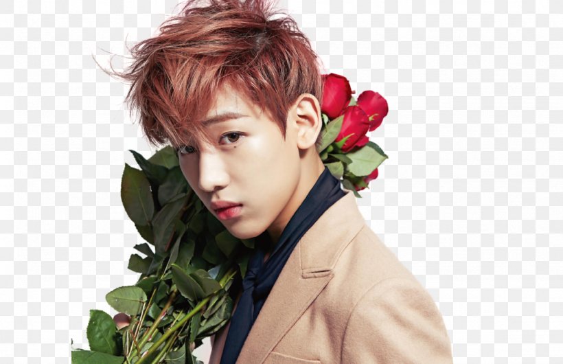 BamBam GOT7 K-pop Thailand Never Ever, PNG, 1024x662px, Bambam, Allkpop, Brown Hair, Flower, Forever Young Download Free