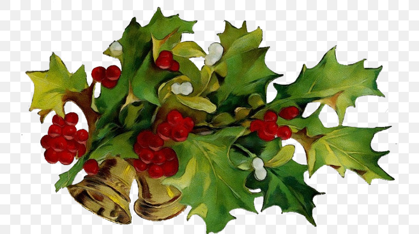 Holly, PNG, 736x458px, Watercolor, American Holly, Chinese Hawthorn, Flower, Hawthorn Download Free