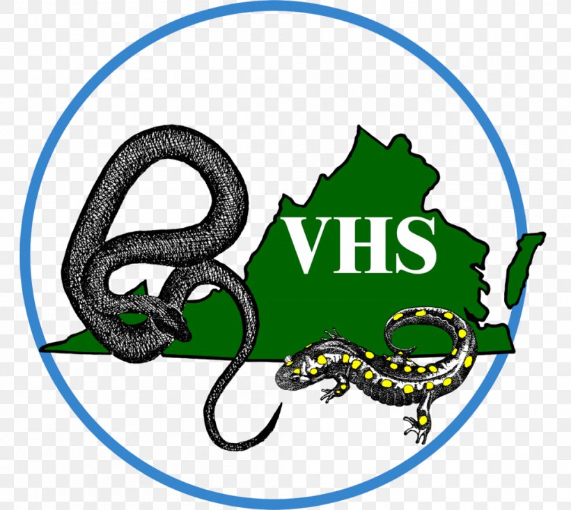 Snake Virginia Reptile Herpetological Society Herpetology, PNG, 1000x893px, Snake, Amphibians, Area, Artwork, Brand Download Free