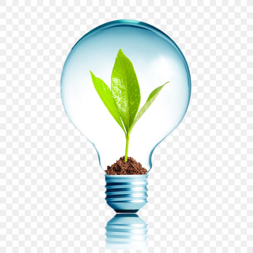 Energy Conservation Efficient Energy Use Renewable Energy Environmentally Friendly, PNG, 1000x1000px, Energy Conservation, Alternative Medicine, Building, Efficiency, Efficient Energy Use Download Free