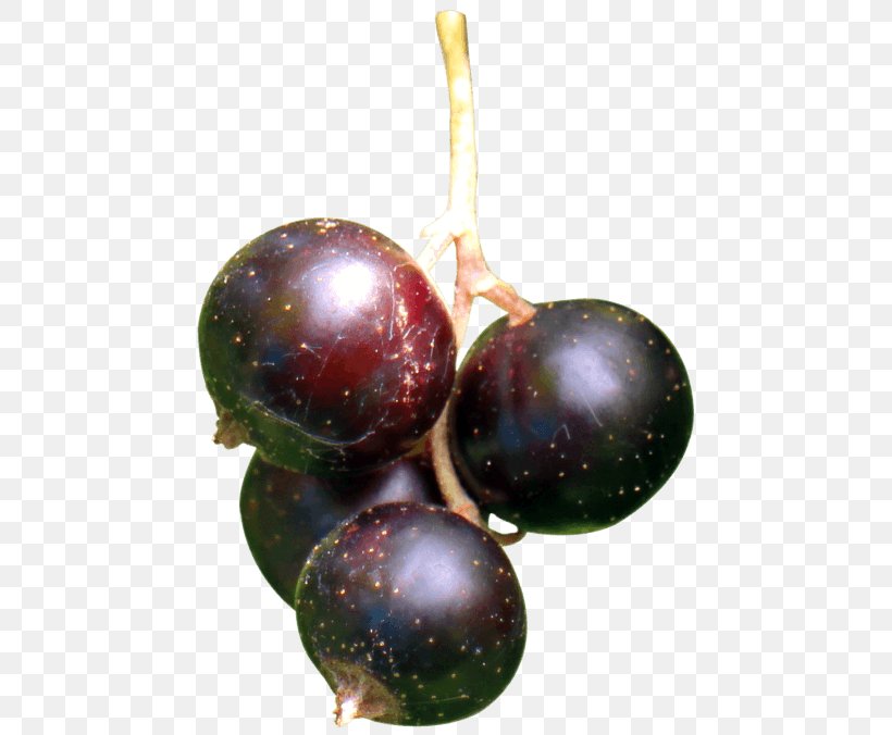 Grape Blackcurrant Berry Fruit, PNG, 480x676px, Grape, Auglis, Berry, Blackcurrant, Christmas Ornament Download Free