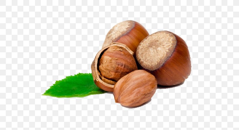 Hazelnut Food Flavor, PNG, 650x448px, Nut, Acorn, Biscuit, Calcium, Chestnut Download Free