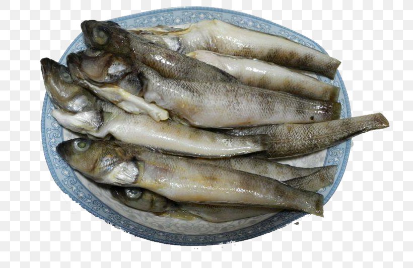 Ice Fishing, PNG, 800x533px, Fish, Anchovy Food, Animal Source Foods, Capelin, Dish Download Free