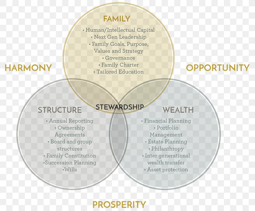 Stewardship Succession Planning Wealth Management Governance Framework, PNG, 800x679px, Stewardship, Education, Family, Governance, Governance Framework Download Free
