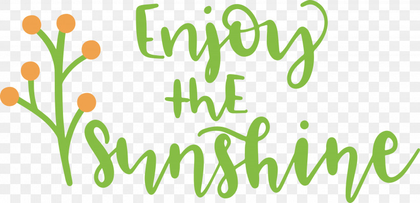 Sunshine Enjoy The Sunshine, PNG, 3000x1454px, Sunshine, Floral Design, Green, Happiness, Leaf Download Free