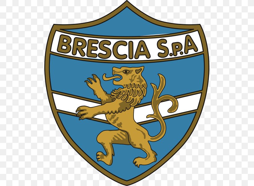 Brescia Calcio Associazione Calcio Brescia Football Logo, PNG, 533x599px, Brescia Calcio, Area, Brand, Brescia, Crest Download Free