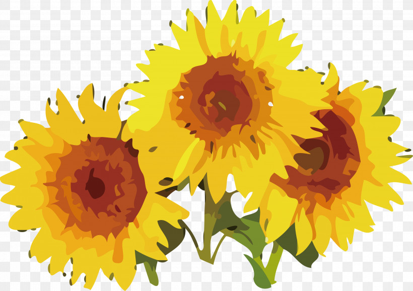 Daisy Family Kospi 200 Capped 25% Estimated Index Cut Flowers Sunflower Seeds Flower, PNG, 3000x2115px, Watercolor Flower, Autumn, Cut Flowers, Daisy Family, Day Download Free