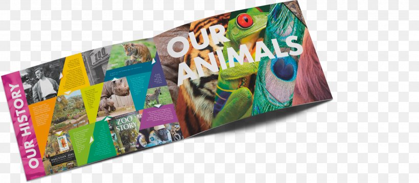 Paignton Zoo Graphic Design Brochure, PNG, 1920x842px, Paignton Zoo, Brand, Brochure, Color, Conservation Download Free