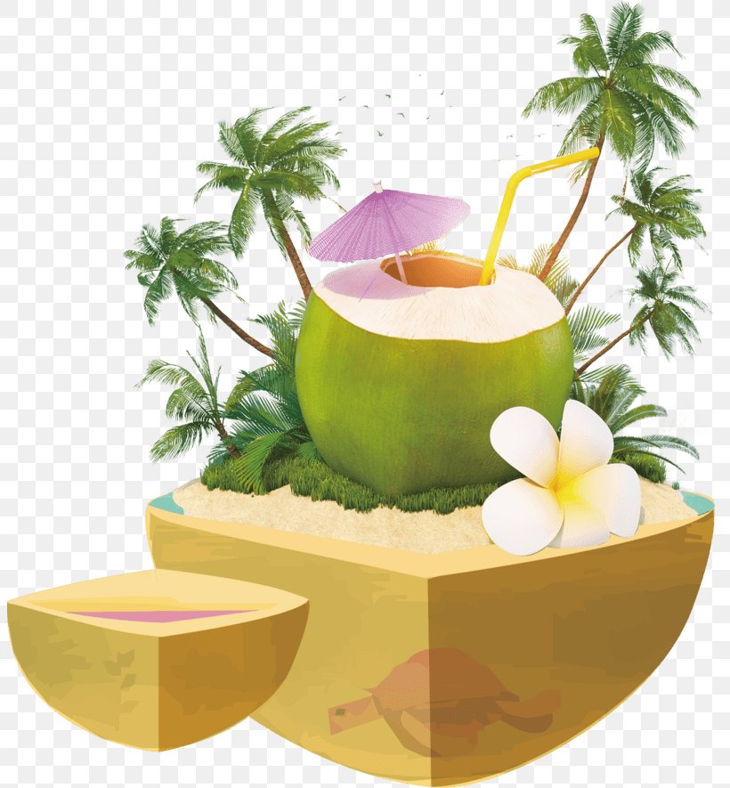 Coconut Water Coconut Milk Cocktail Juice, PNG, 804x885px, Coconut Water, Arecales, Candle, Chocolate Balls, Chocolate Truffle Download Free