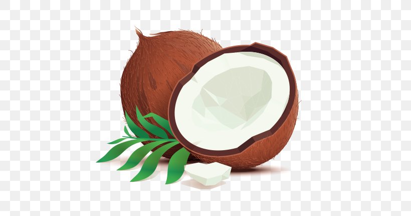 Coconut Water Illustration Drawing Vector Graphics, PNG, 712x430px, Coconut Water, Book Illustration, Coconut, Drawing, Dribbble Download Free