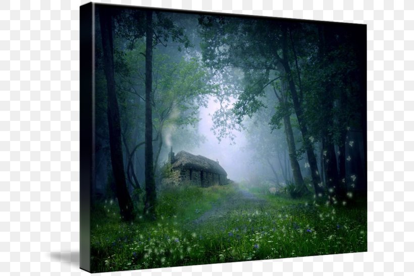 House Cottage Room Nature Person, PNG, 650x548px, House, Biome, Cottage, Ecosystem, Forest Download Free