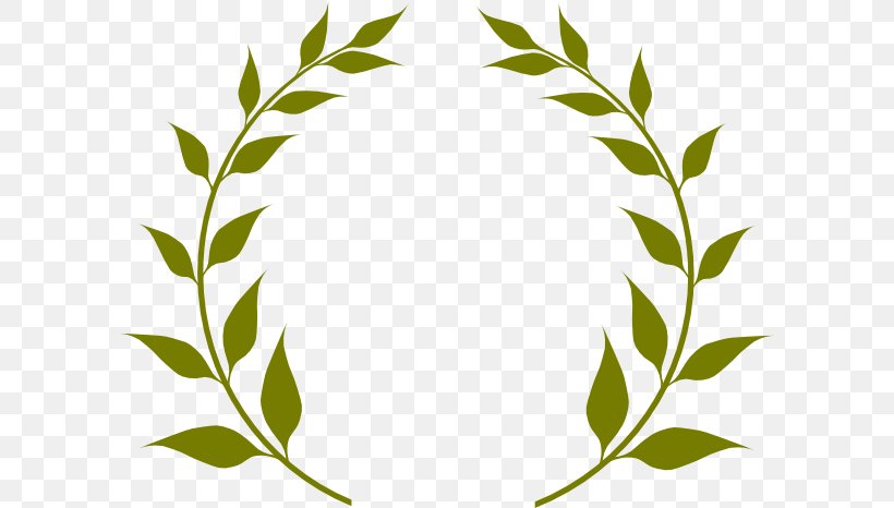 Olive Branch Olive Wreath Clip Art, PNG, 600x466px, Olive Branch, Bay Laurel, Branch, Drawing, Flora Download Free